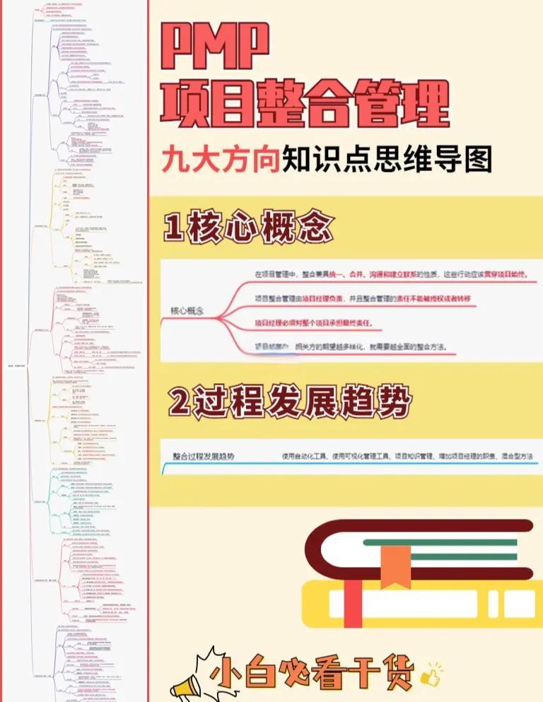 整合项目管理服务(项目整合管理的主要工作是)商洛市