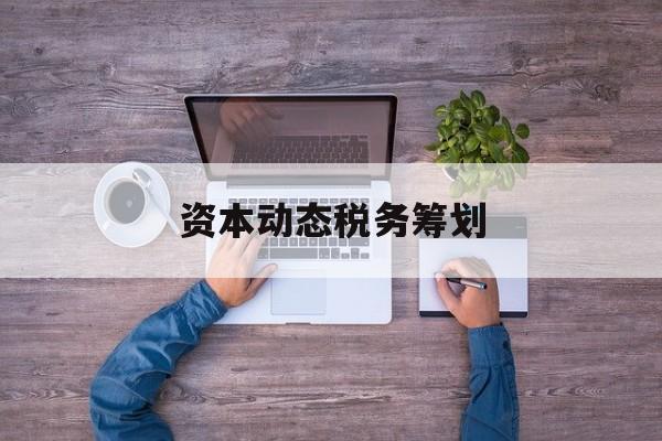 资本动态税务筹划(资本动态税务筹划案例)商洛市